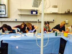 Bayern führt Landarztquote bei Medizinstudium ein