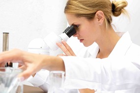 Gründung Berufsausübungsgemeinschaft