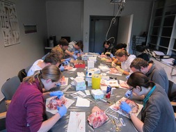 Medizinstudenten als zukünftige Landärzte