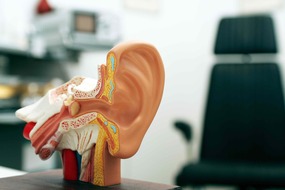 Einfacher Praxisverkauf bei vielen Privatpatienten