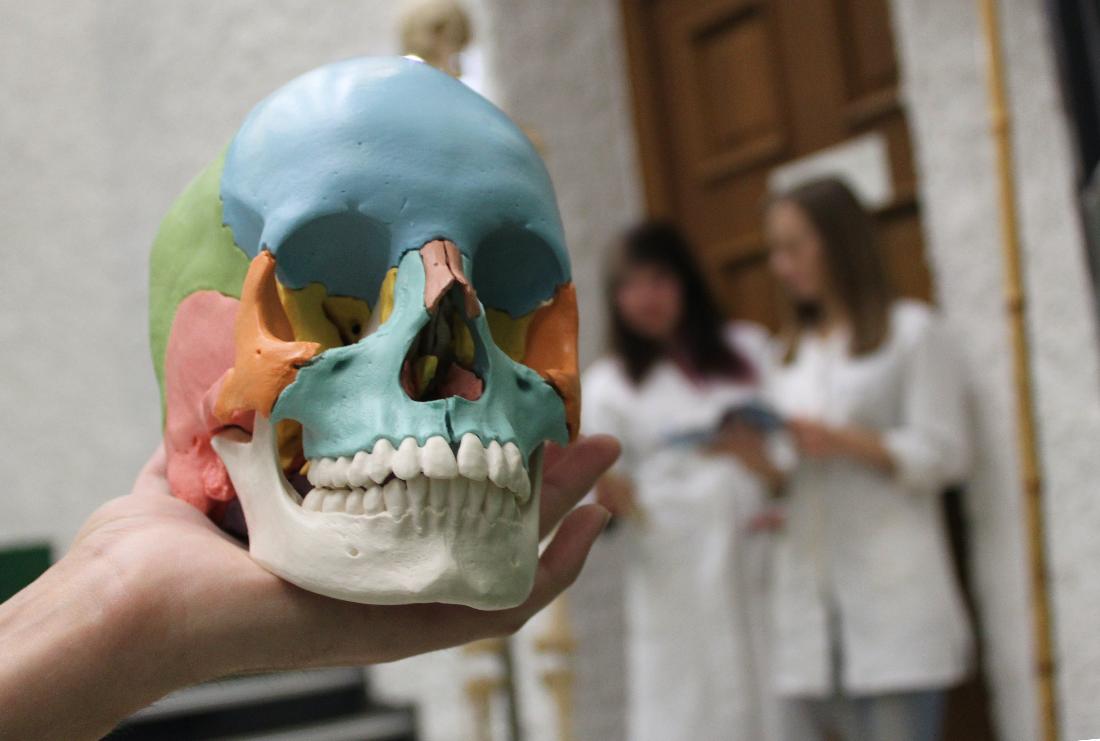 PJ-Tertial Bewerbung