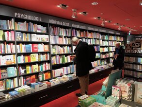 psychologische-begleitung-fuer-kollegen-in-muenchen