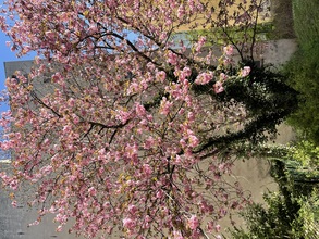 alteingesessene-internistisch-sportmedizinische-privatpraxis-in-gehobener-wohnlage-in