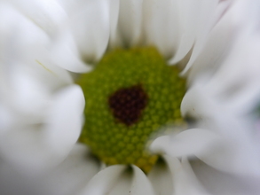 innere-medizin-alteingesessene-internistisch-sportmedizinische-privatpraxis