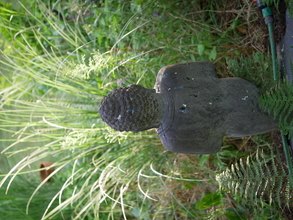 innere-medizin-alteingesessene-internistisch-sportmedizinische