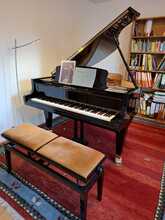 sehr-gute-ertragreiche-allgemeinpraxis-mit-haus-und-boesendorfer-fluegel-abzugeben-psychotherapie